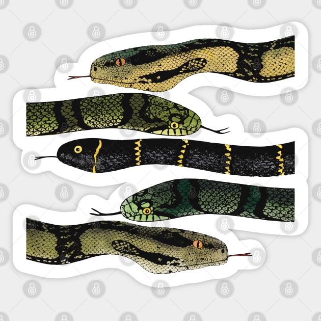 Snakes Sticker by marina63